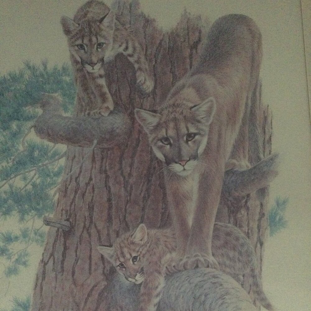 Vintage J Sharkey Thomas 1979 art print tiger and cubs in solid wooden frame
